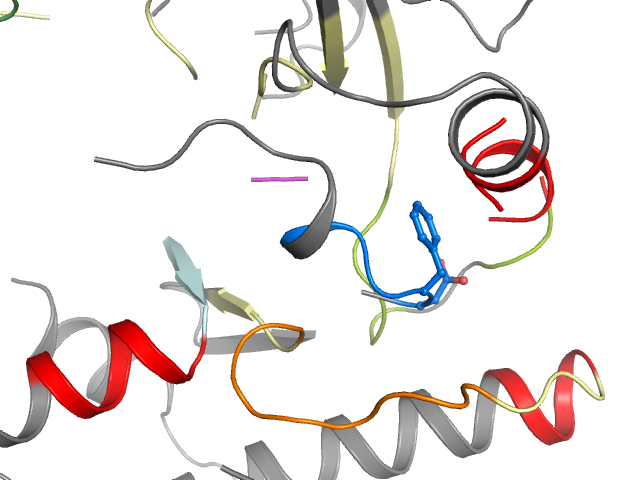 The orthosteric binding pocket