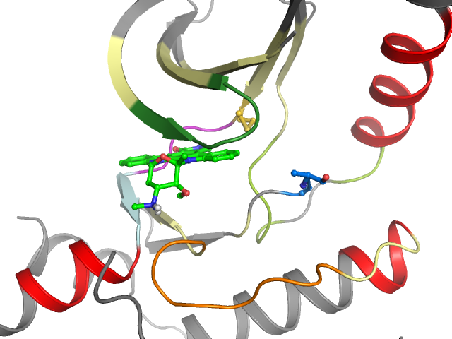 The orthosteric binding pocket