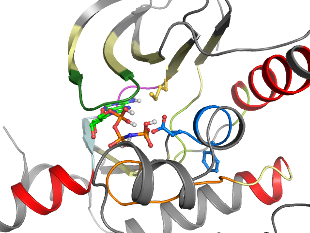 The orthosteric binding pocket