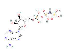 2D structure of the orthosteric ligand