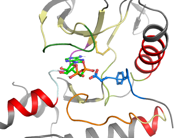 The orthosteric binding pocket
