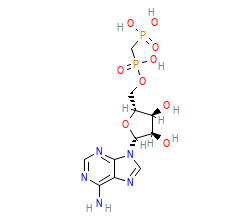 2D structure of the orthosteric ligand