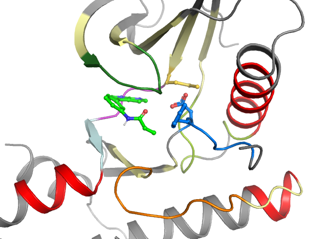 The orthosteric binding pocket