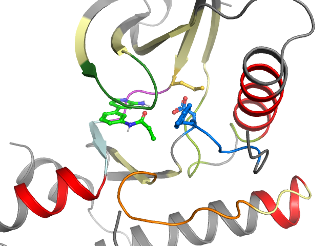 The orthosteric binding pocket