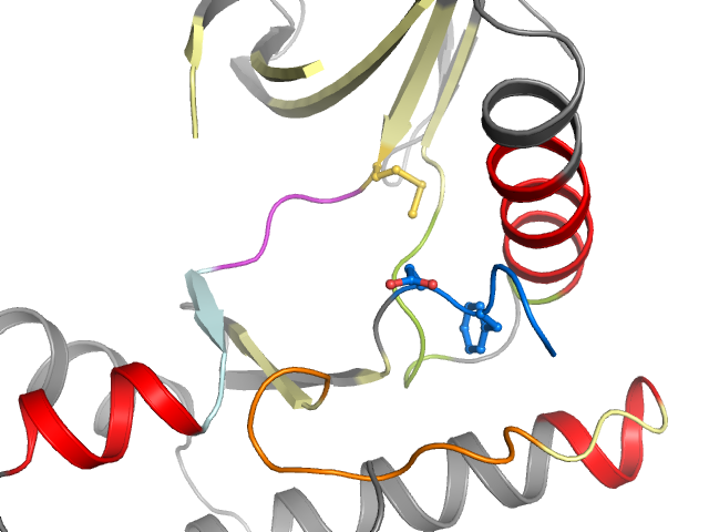 The orthosteric binding pocket