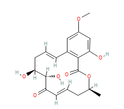 2D structure of the orthosteric ligand