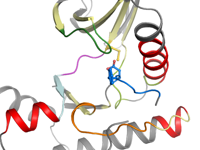 The orthosteric binding pocket