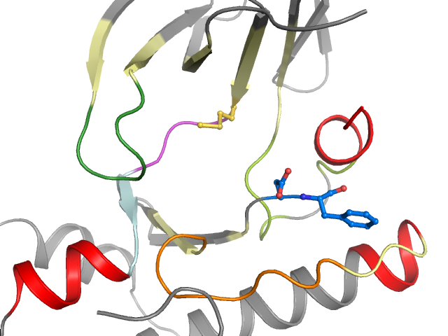 The orthosteric binding pocket