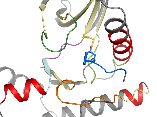 The orthosteric binding pocket
