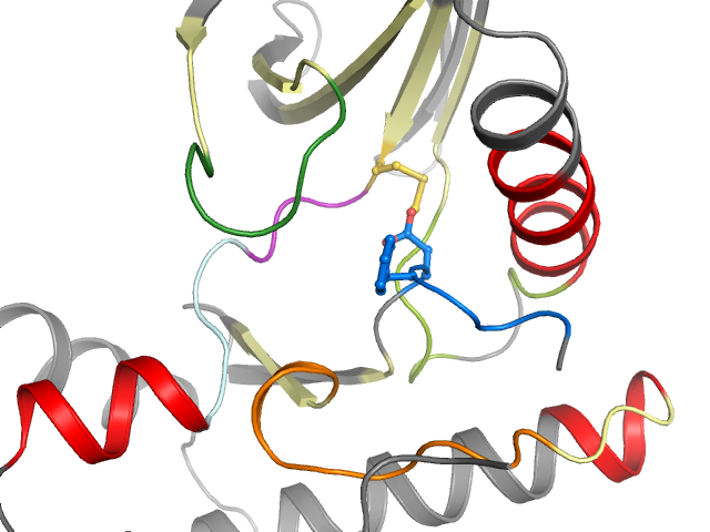 The orthosteric binding pocket