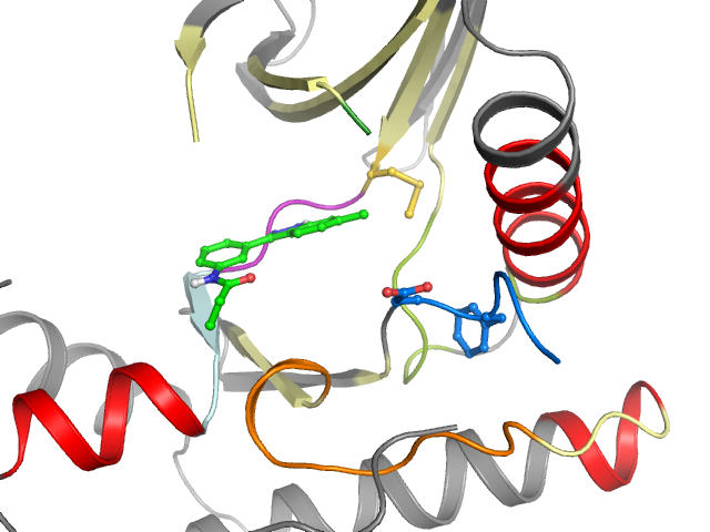 The orthosteric binding pocket