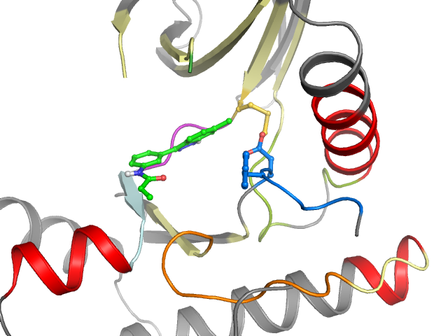 The orthosteric binding pocket