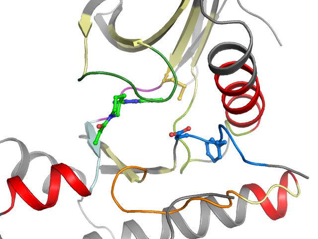 The orthosteric binding pocket