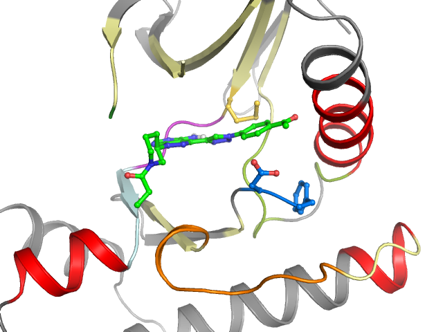 The orthosteric binding pocket