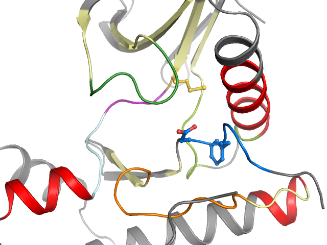 The orthosteric binding pocket