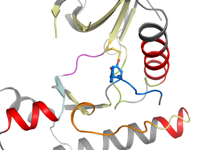 The orthosteric binding pocket