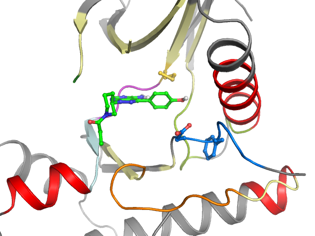 The orthosteric binding pocket