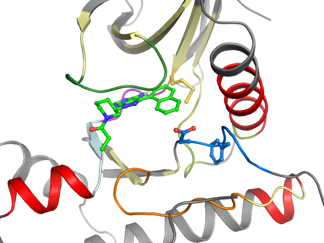 The orthosteric binding pocket