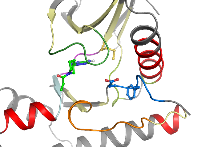 The orthosteric binding pocket