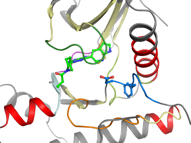 The orthosteric binding pocket