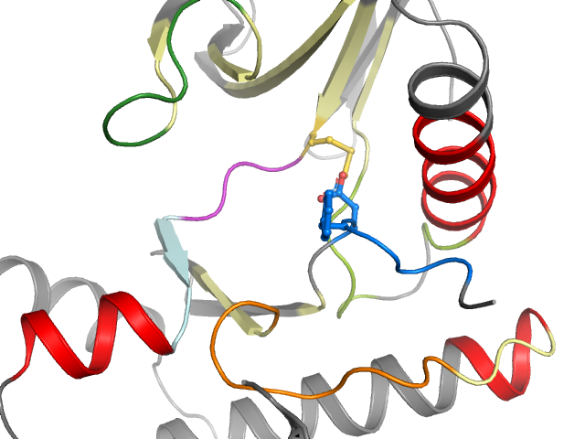 The orthosteric binding pocket