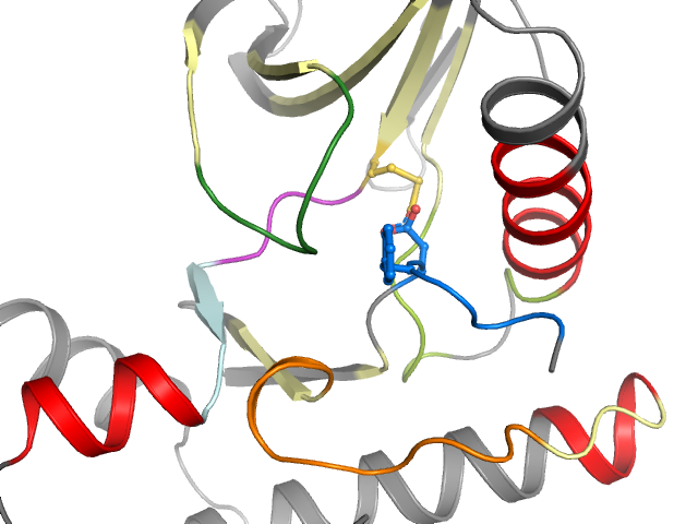 The orthosteric binding pocket