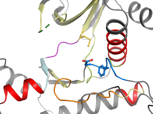 The orthosteric binding pocket