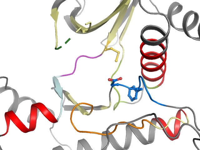 The orthosteric binding pocket