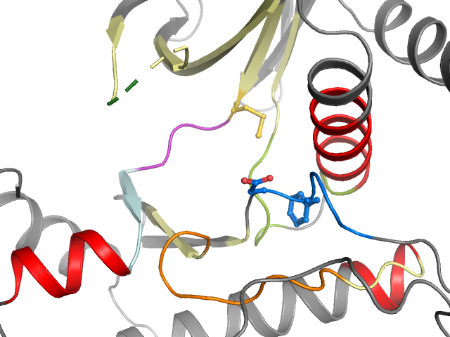 The orthosteric binding pocket
