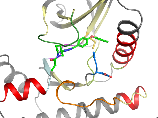 The orthosteric binding pocket