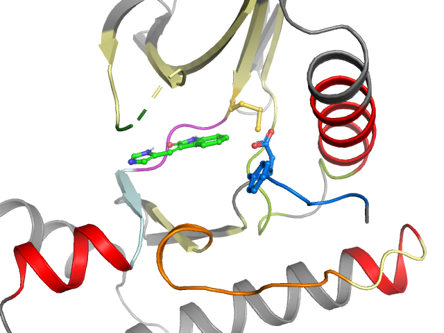 The orthosteric binding pocket