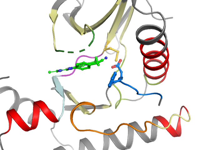 The orthosteric binding pocket