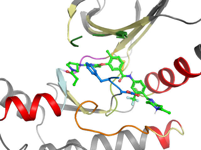 The orthosteric binding pocket