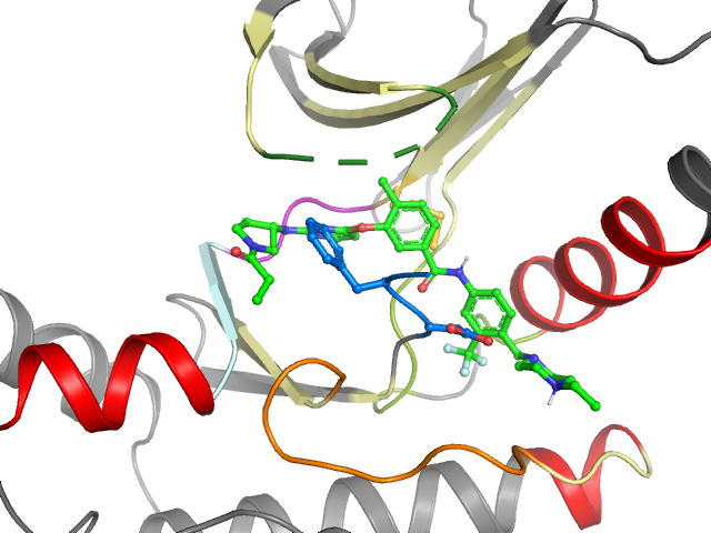 The orthosteric binding pocket
