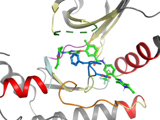 The orthosteric binding pocket