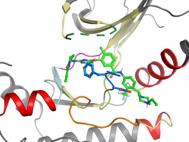 The orthosteric binding pocket