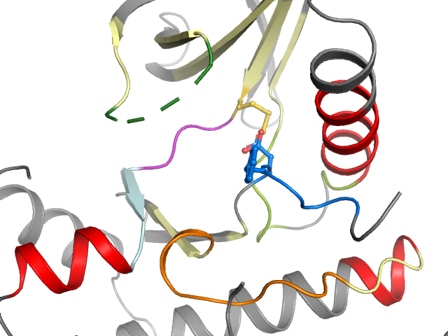 The orthosteric binding pocket