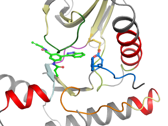 The orthosteric binding pocket