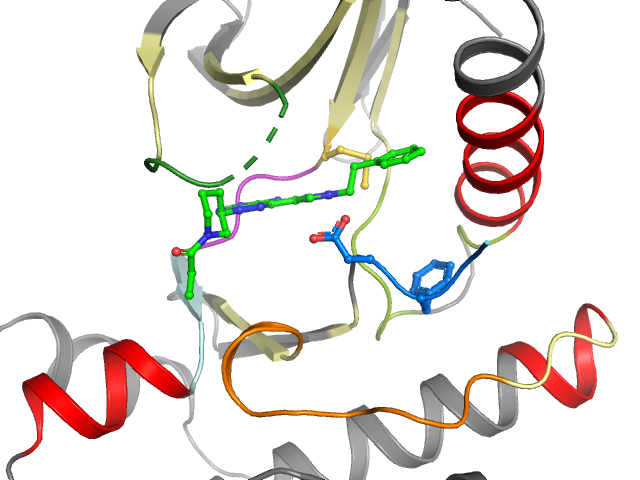 The orthosteric binding pocket