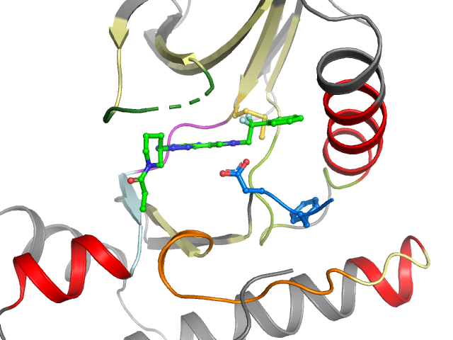 The orthosteric binding pocket