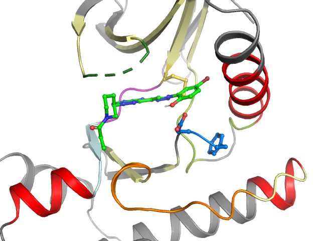 The orthosteric binding pocket