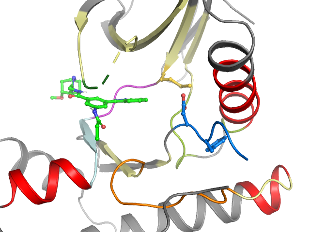 The orthosteric binding pocket
