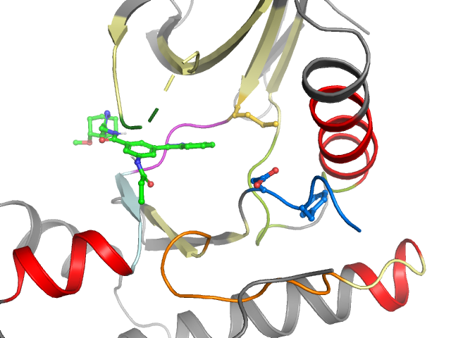 The orthosteric binding pocket