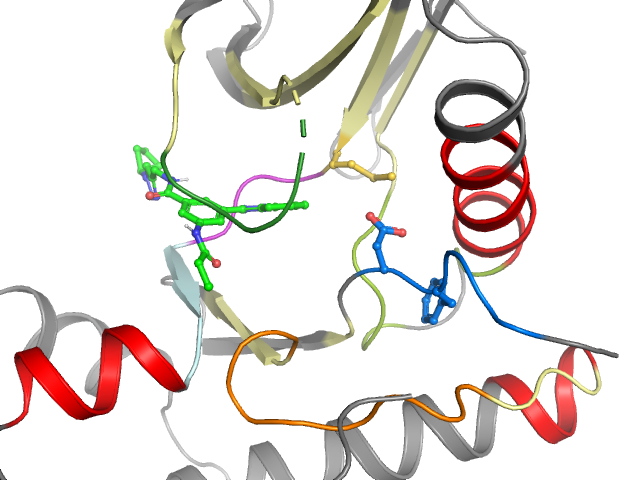 The orthosteric binding pocket