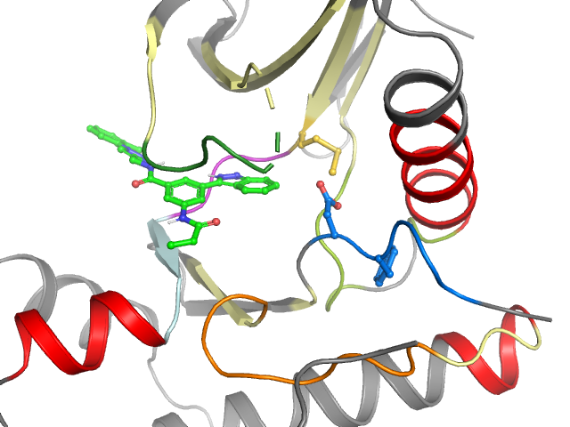 The orthosteric binding pocket