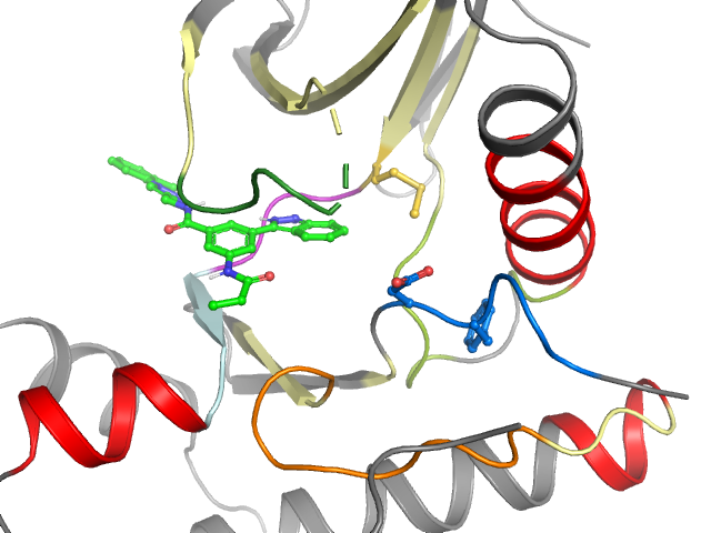 The orthosteric binding pocket