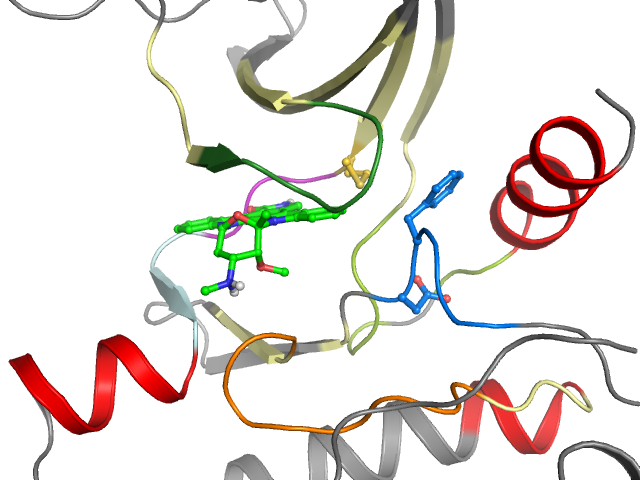 The orthosteric binding pocket