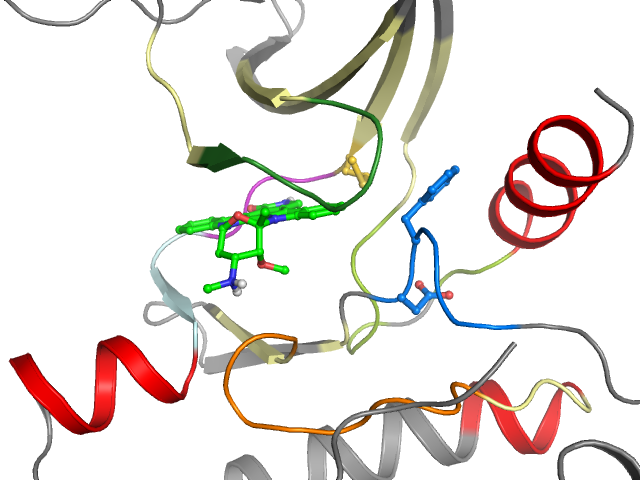 The orthosteric binding pocket