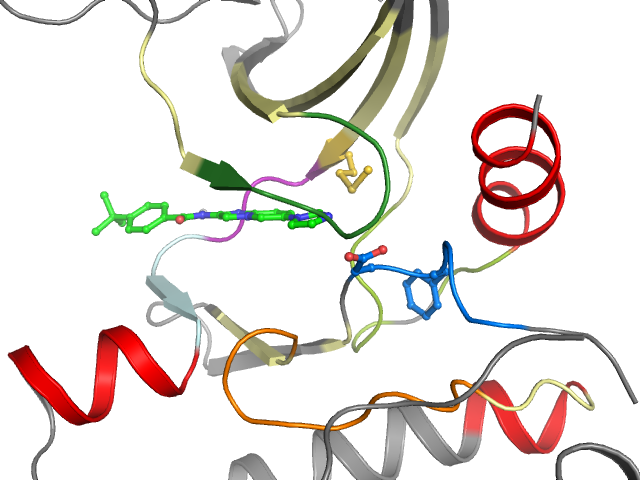 The orthosteric binding pocket