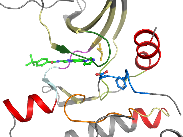 The orthosteric binding pocket